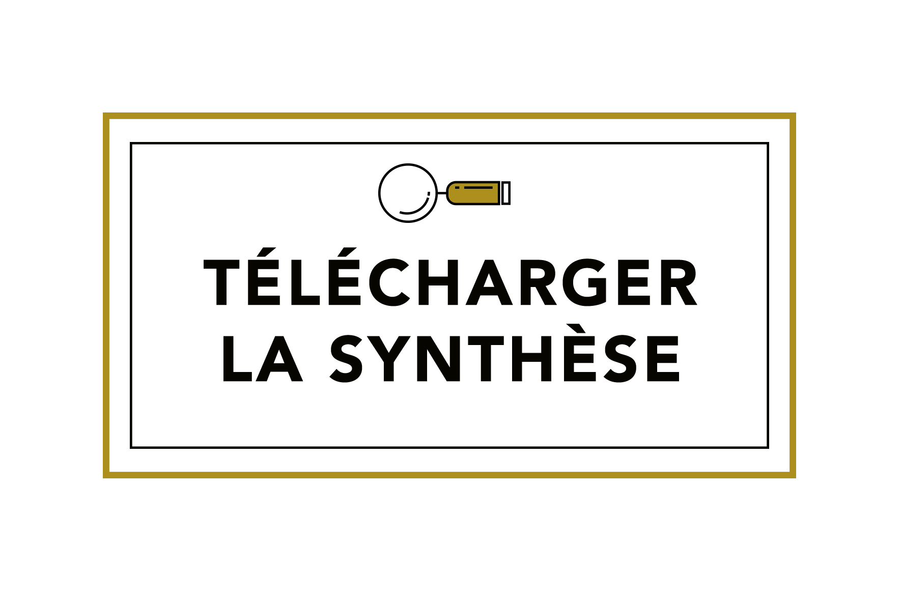 bouton-synthèse.png
