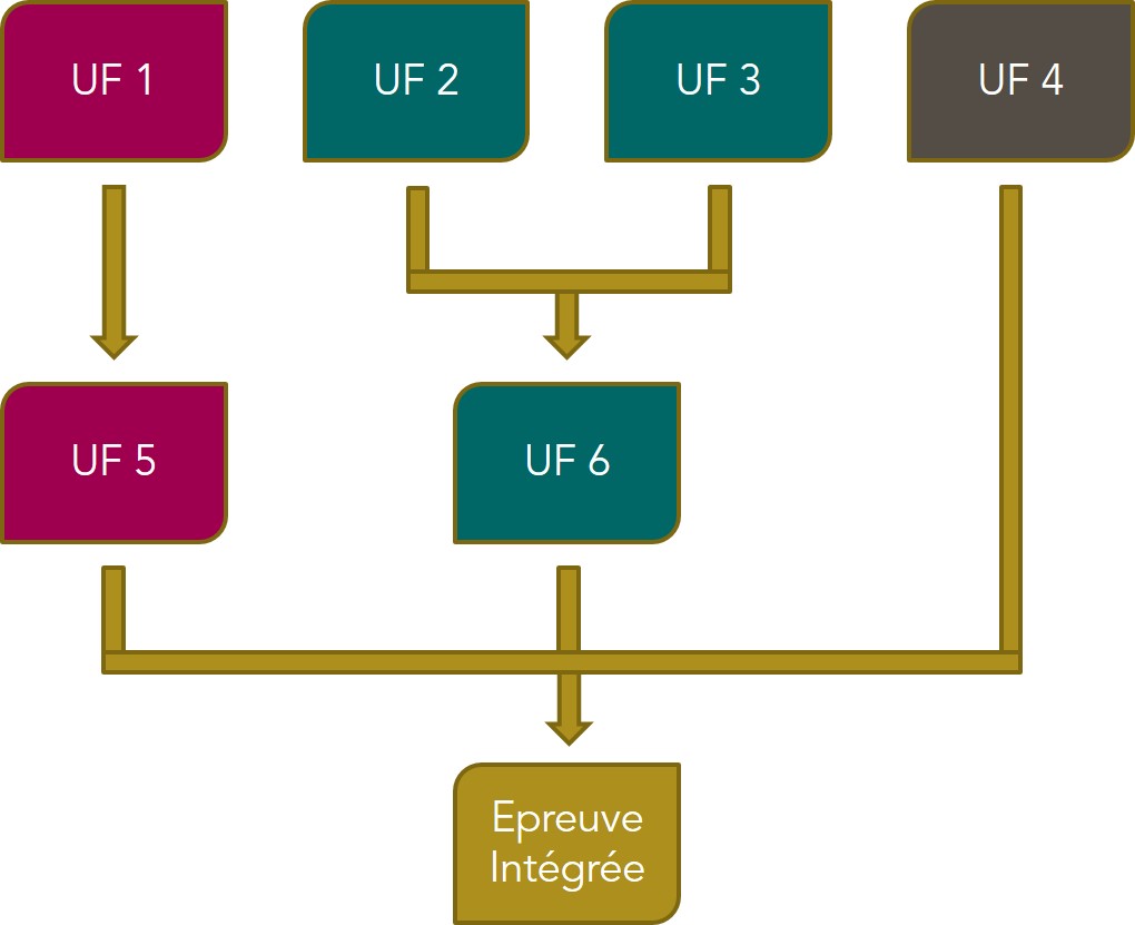 Schema_UF_Promotion_Sociale.jpg