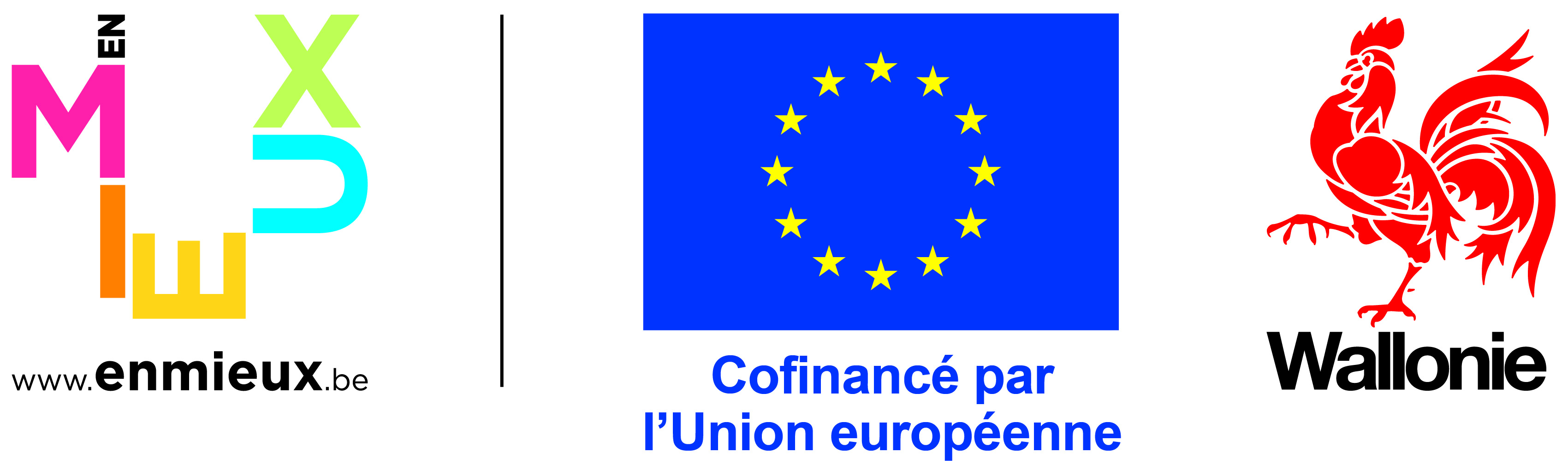 logo_UE+wallonie.jpg